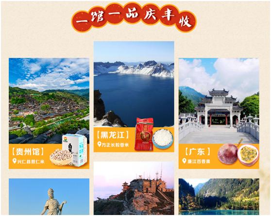 苏宁欢乐丰收节,苏宁农民丰收节