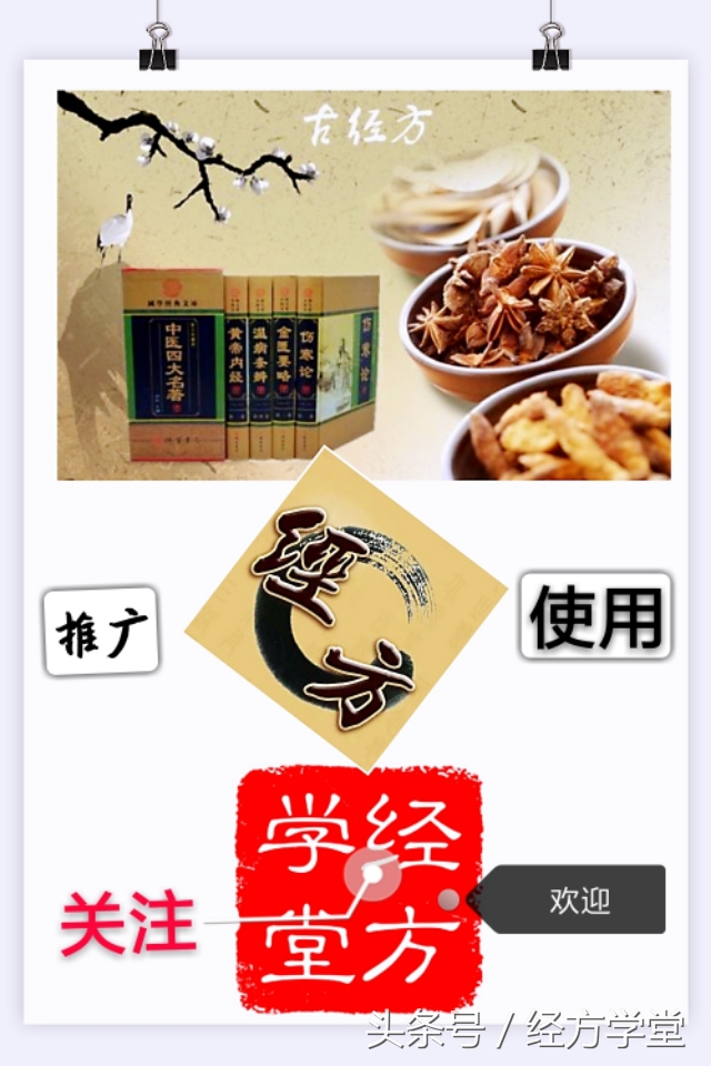 经方大师黄煌推荐经方,经方黄煌医术怎样