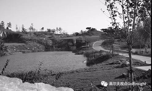 香港和上海哪个知名度更高,上海深圳香港