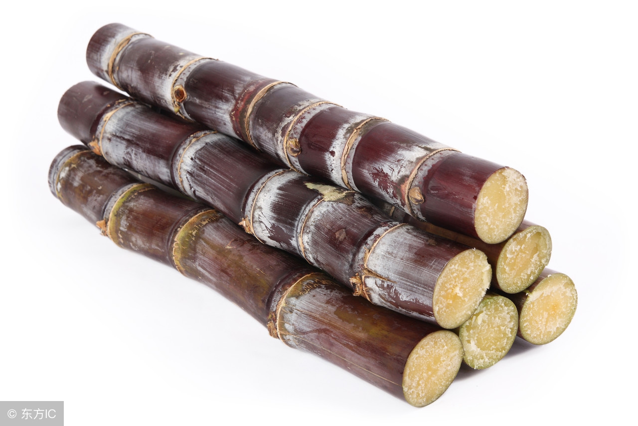 甘蔗吃多了容易上火吗,甘蔗怎么吃不伤嘴巴