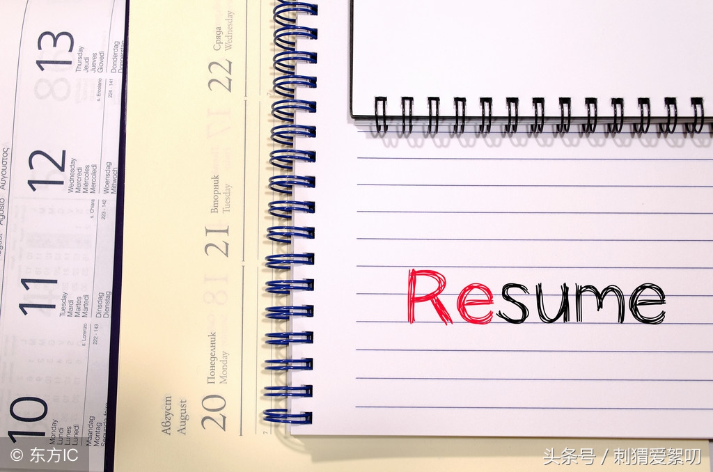 个人工作简历word模板,电子简历制作网站免费模板