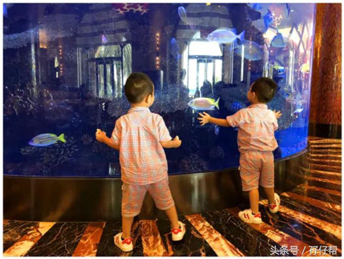 珠海长隆海洋王国不住酒店攻略,珠海长隆海洋王国横琴湾亲子攻略