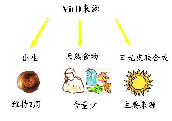 宝宝缺钙的原因和注意事项,宝宝缺钙危害大要及时补