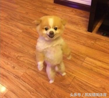 王霜留洋曼城消息,法国大巴黎王霜