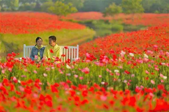 推荐3个上海周末好去处,上海这8个小众去处全免费