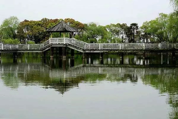 推荐3个上海周末好去处,上海这8个小众去处全免费