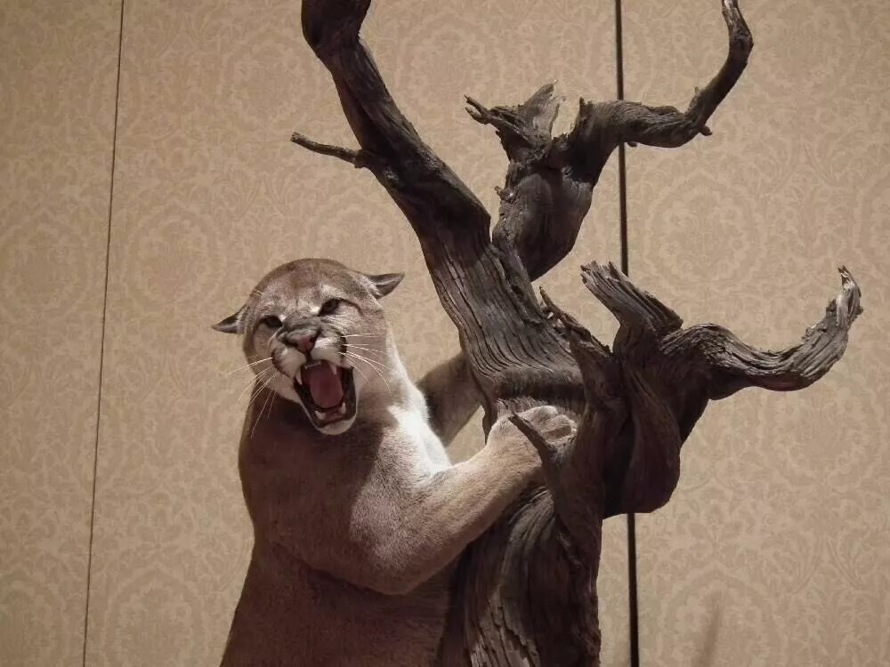 有人花1500元买马赛克图片和拼音商品？记者调查发现幕后大有隐秘！