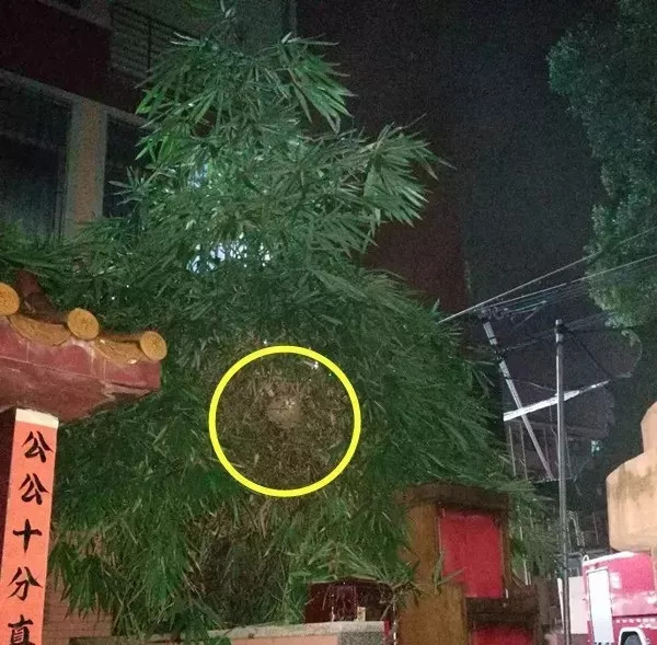 看到这几种东西千万不要捡,看到这些危险标志赶紧远离