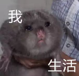 给了老婆一张卡，从此家里每月支出省了几千块，长春男人都来学一学！