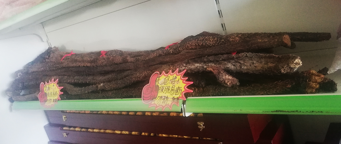 沙漠人参肉苁蓉对身体有啥好处,沙漠人参肉苁蓉吃了有什么功效