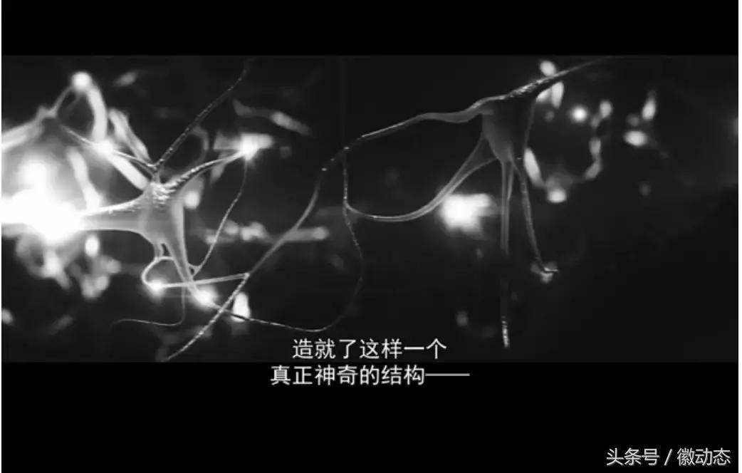 9月23日新闻头条,9月23日头条新闻