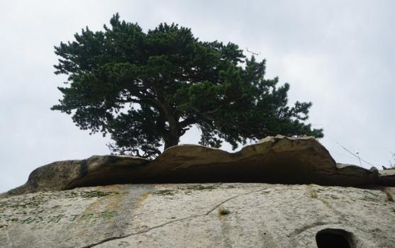 华山跟华山北,华山