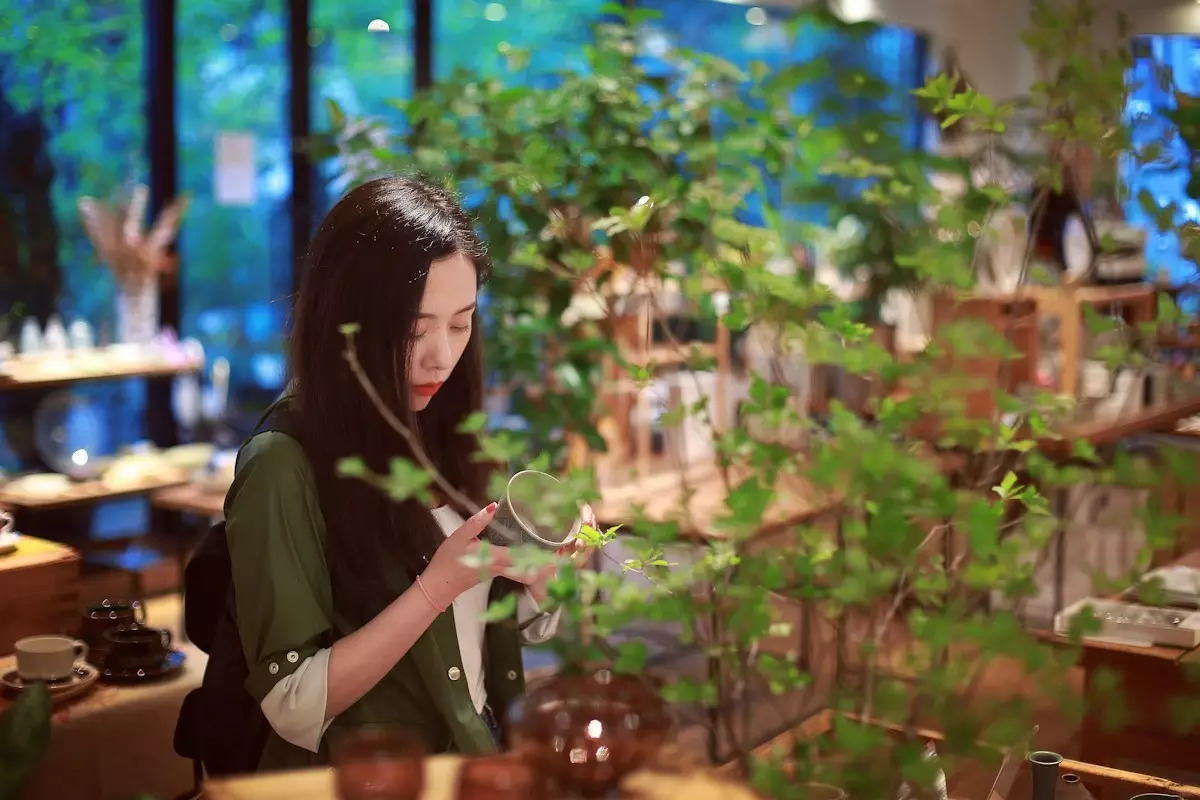 日本东京京都游记,生活在别处苏晴小说