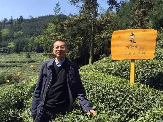 周树明投资云放茶园,周树明投资