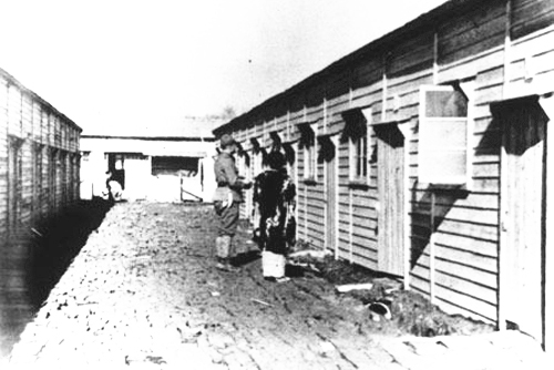 *安妇慰**：那段不堪回首的屈辱史