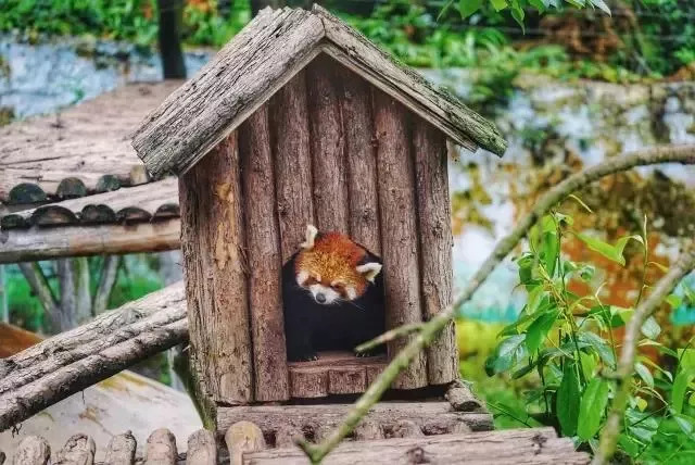 彭山景区免费政策,优待证去庐山景点全部免费吗