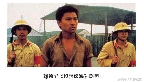 现在越南华人的现状,被越南驱逐的华人流落在荒岛