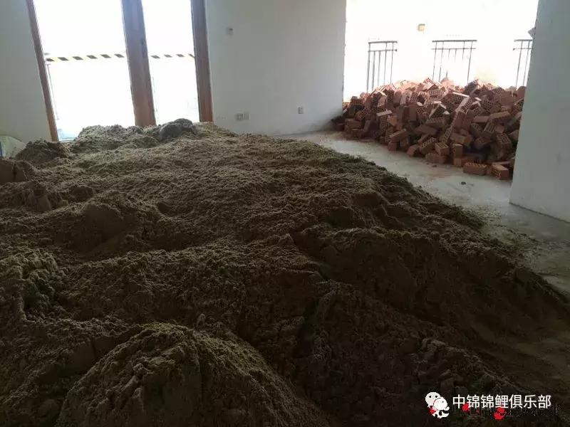 楼顶鱼池有哪些,屋顶鱼池的建造方法