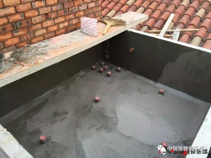 楼顶鱼池有哪些,屋顶鱼池的建造方法