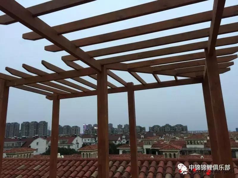 楼顶鱼池有哪些,屋顶鱼池的建造方法