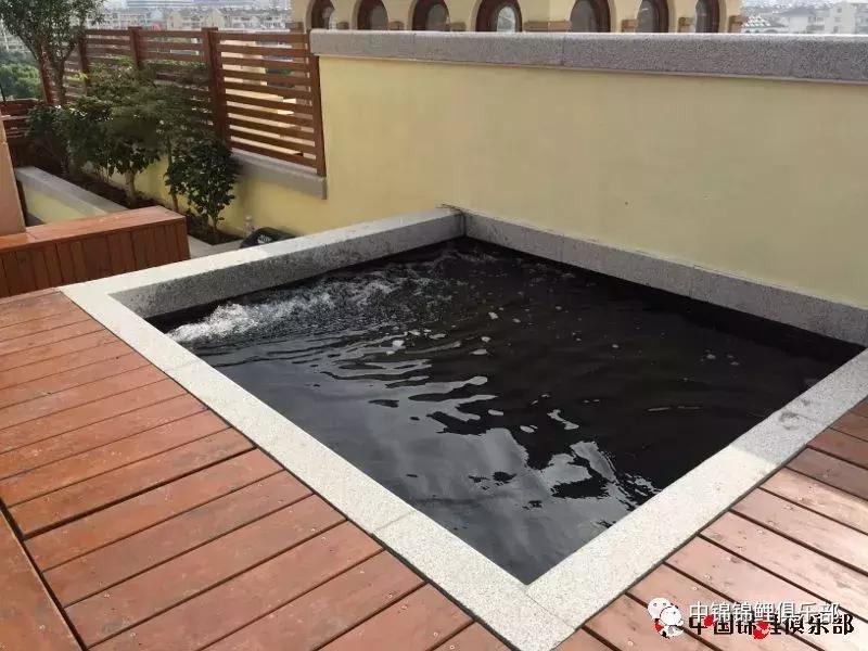 楼顶鱼池有哪些,屋顶鱼池的建造方法