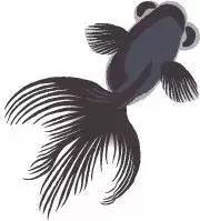 唐诗300首国粹版,唐诗300首和宋词300首