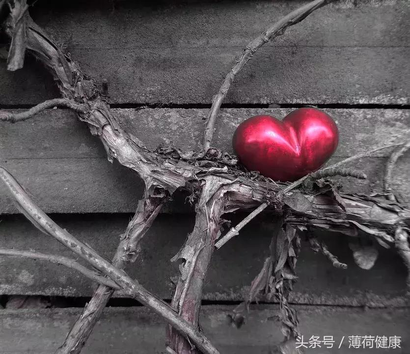 因为这一个月，我终于摆脱了纠缠我两年的暴食催吐