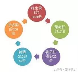 世界冠军运动员15年的秘密*器武**——天然虾青素
