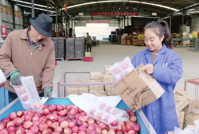 孙伟讲脱贫视频,陇南孙伟
