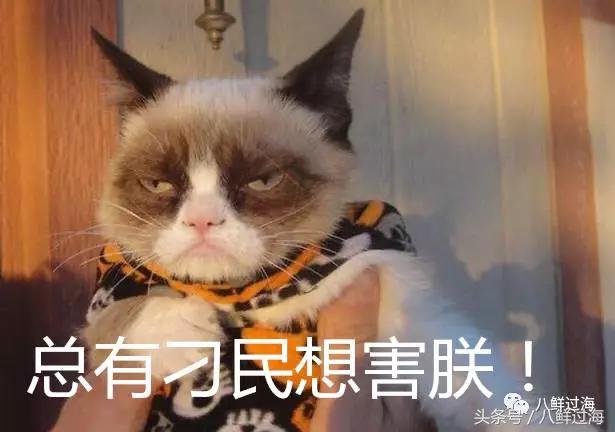 长钩柄鱼钩钓鲫鱼,长绳排钩钓鱼怎么钓鲫鱼