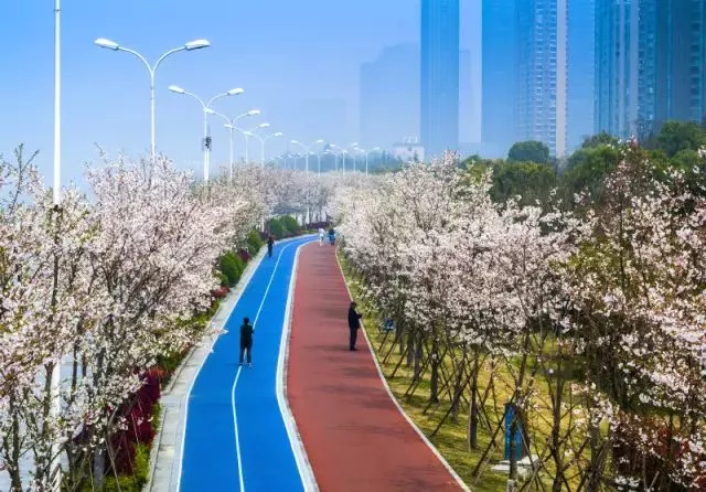 萧山与滨江一体化,萧山滨江发展