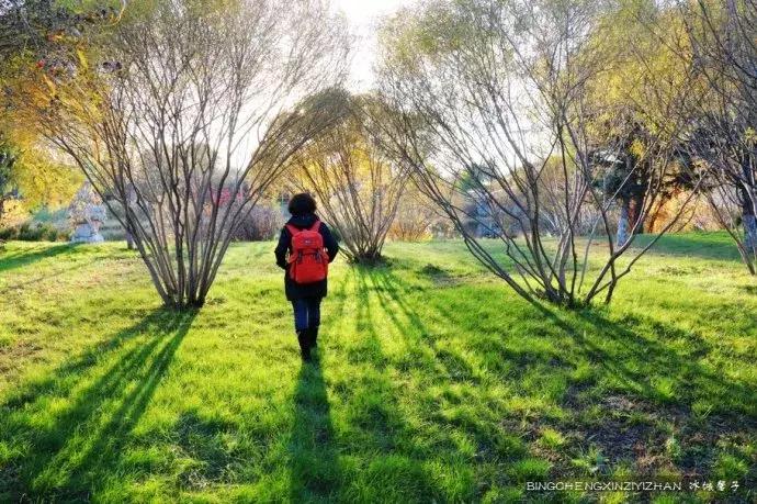 国庆伏尔加庄园,哈尔滨伏尔加庄园三日游