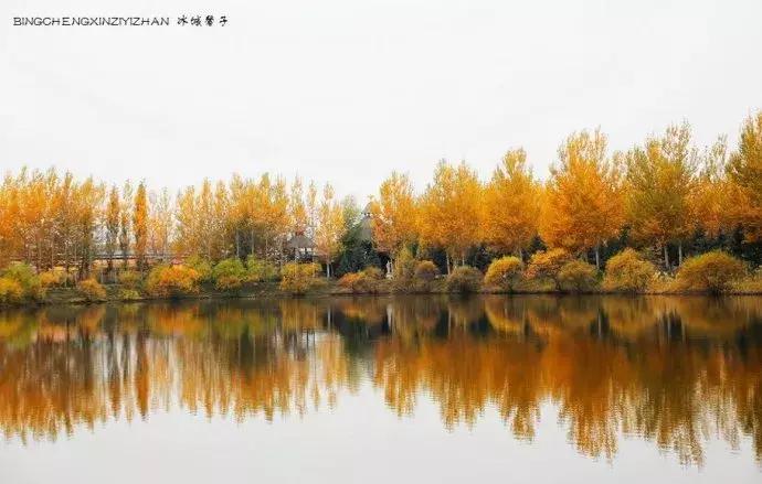 国庆伏尔加庄园,哈尔滨伏尔加庄园三日游