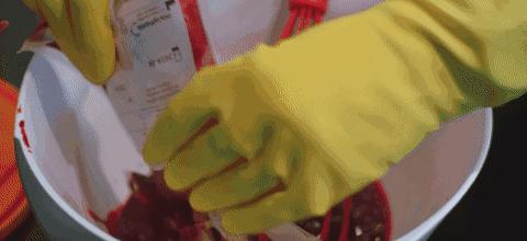 很血腥猎奇的三部纪录片,比较血腥的纪录片