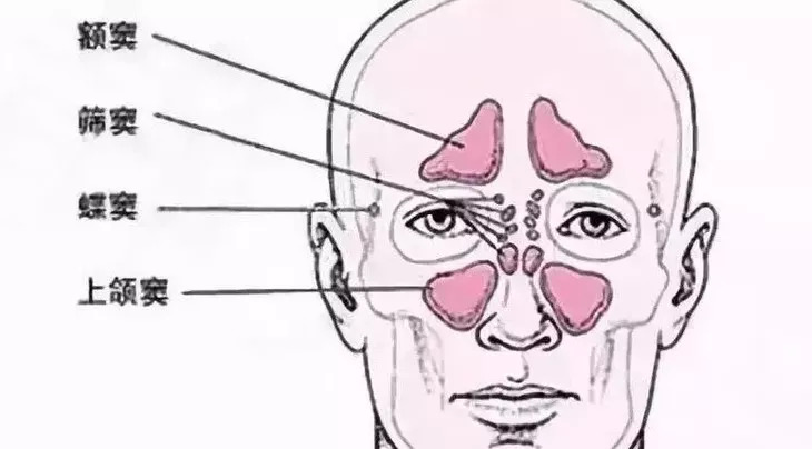 推荐孩子用的鼻炎喷雾,儿童好用的鼻炎喷剂