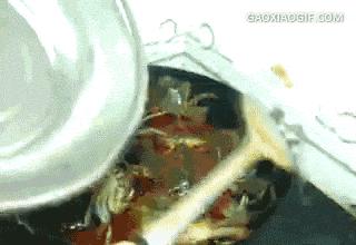 阳澄湖大闸蟹怎样辨真伪,阳澄湖大闸蟹官网辨别真假方法