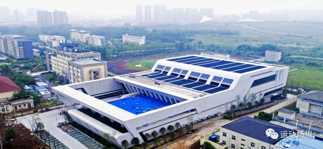 省运会开幕在即,扬州人身份证太管用了,可免费做这些事……