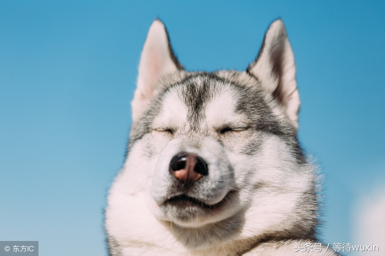 知道什么叫流线型吗,o型腿最严重的图片