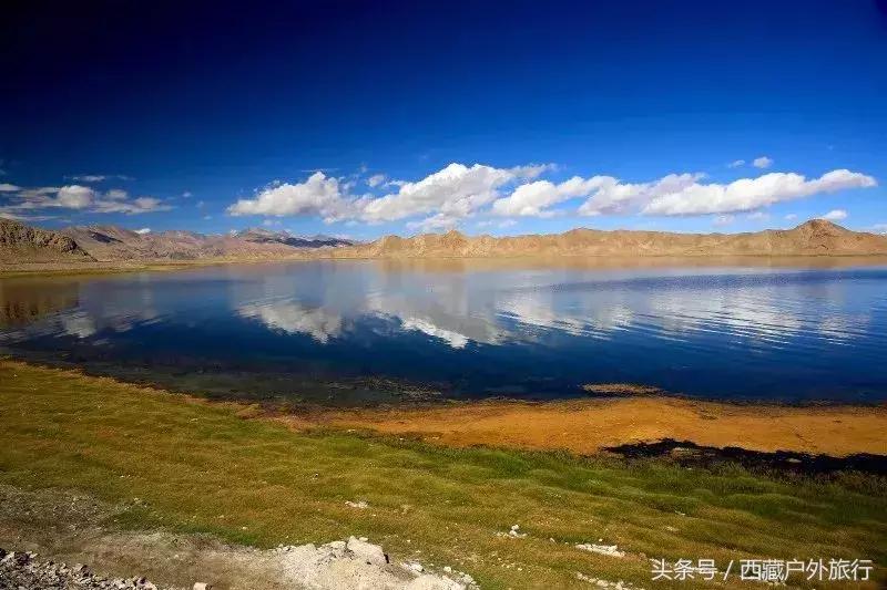 为什么阿里叫阿里地区,为什么阿里被称为拳王