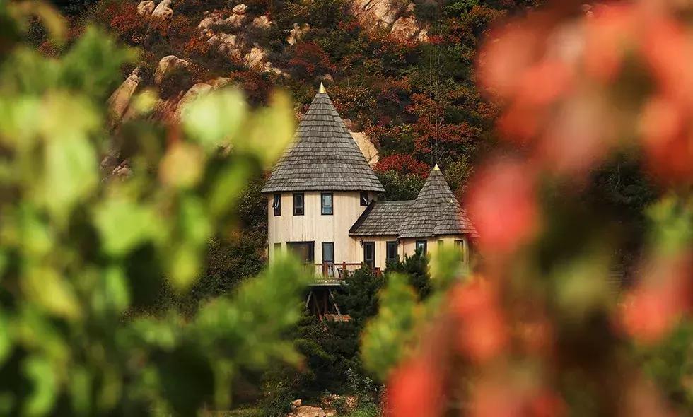 北京一棵树精品民宿,北京150家精品民宿大合集建议收藏