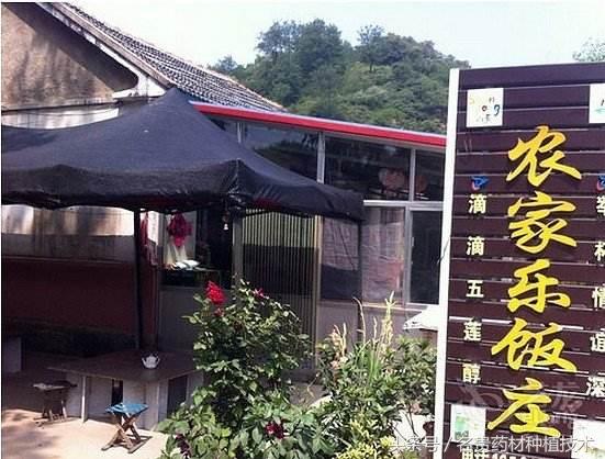 农村人怎样创业赚钱最快的方法,农村暴利创业13个点子防骗