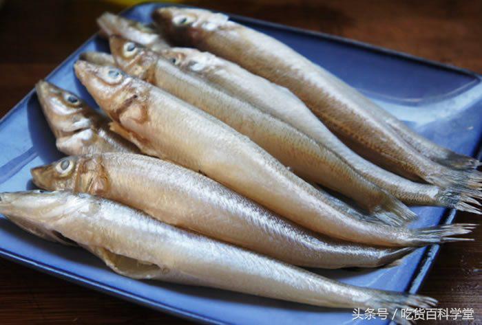 5种没有刺的小海鱼,我赌10只帝王蟹,第3种很多人都没见过