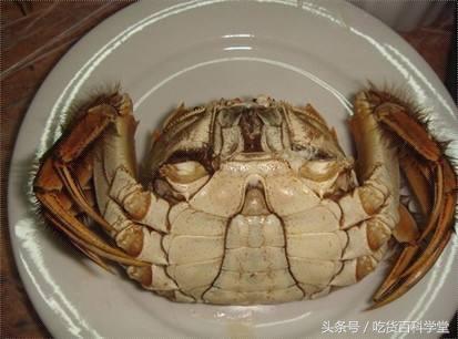 螃蟹怎么挑选公母,螃蟹的饲养过程中公母分养好吗