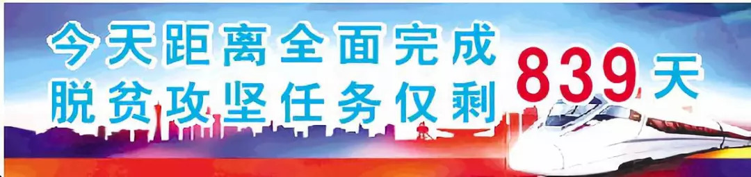 孙伟讲脱贫视频,陇南孙伟