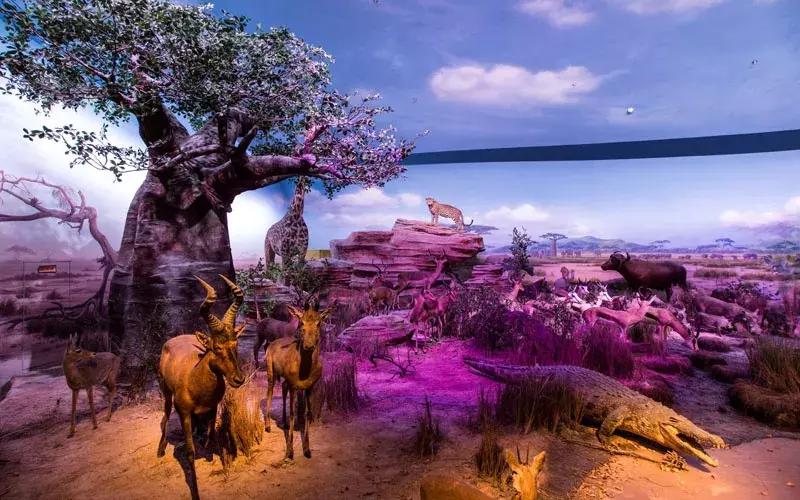 天津中华剧院演出信息,坐地铁去看天津滨湖剧院