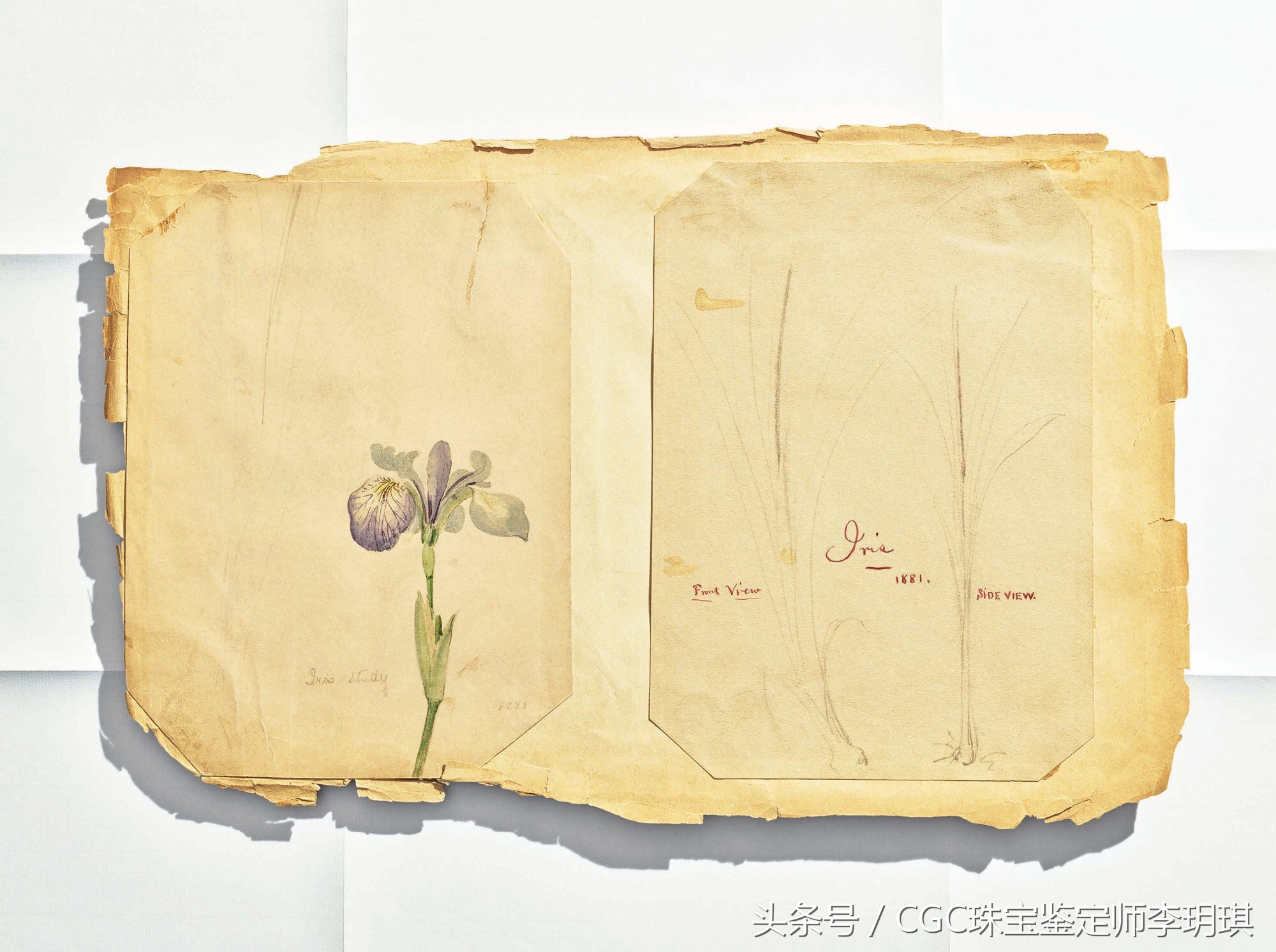 蒂芙尼蓝宝石手链,蒂芙尼爱心手链怎么戴