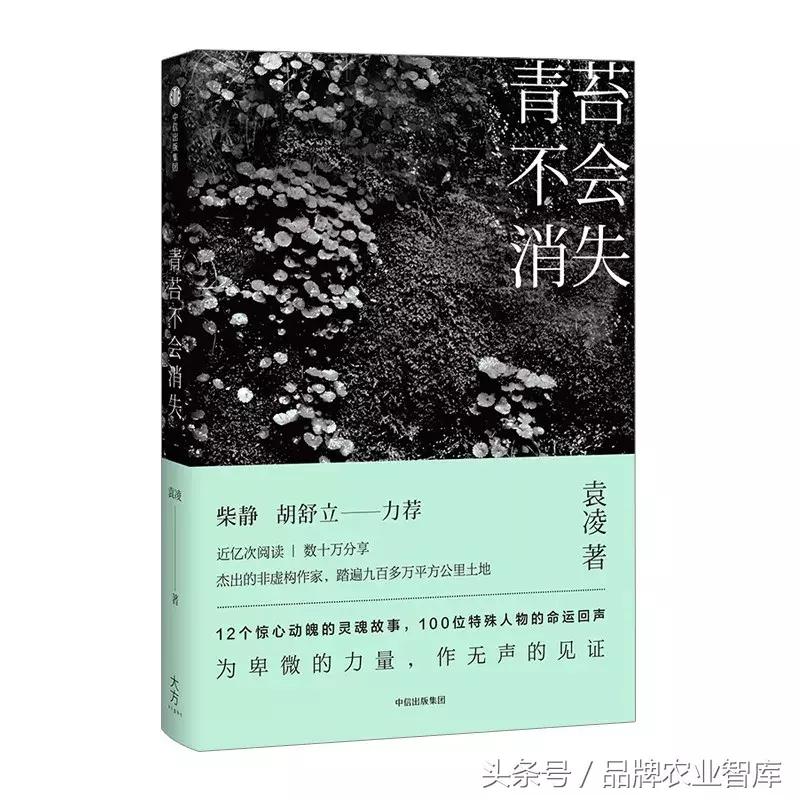犯罪的留守儿童：被牺牲的6100万人，现在长大了