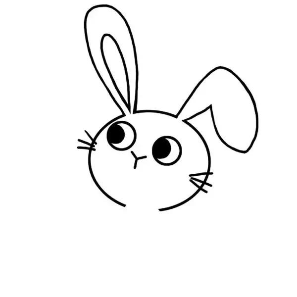 1-3岁幼儿画简笔画小白兔,简笔画教程小白兔的头简笔画