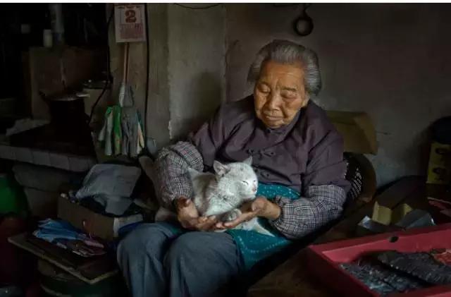 人们为什么瞧不起土猫?「科瑞卡科普」