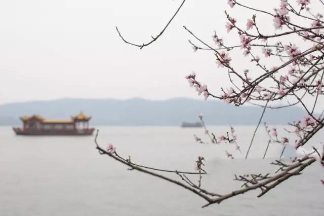 星云大师的宽心与舍得,星云大师讲宽心视频